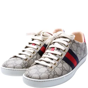 Ace Web GG Supreme Sneakers Size 36.5